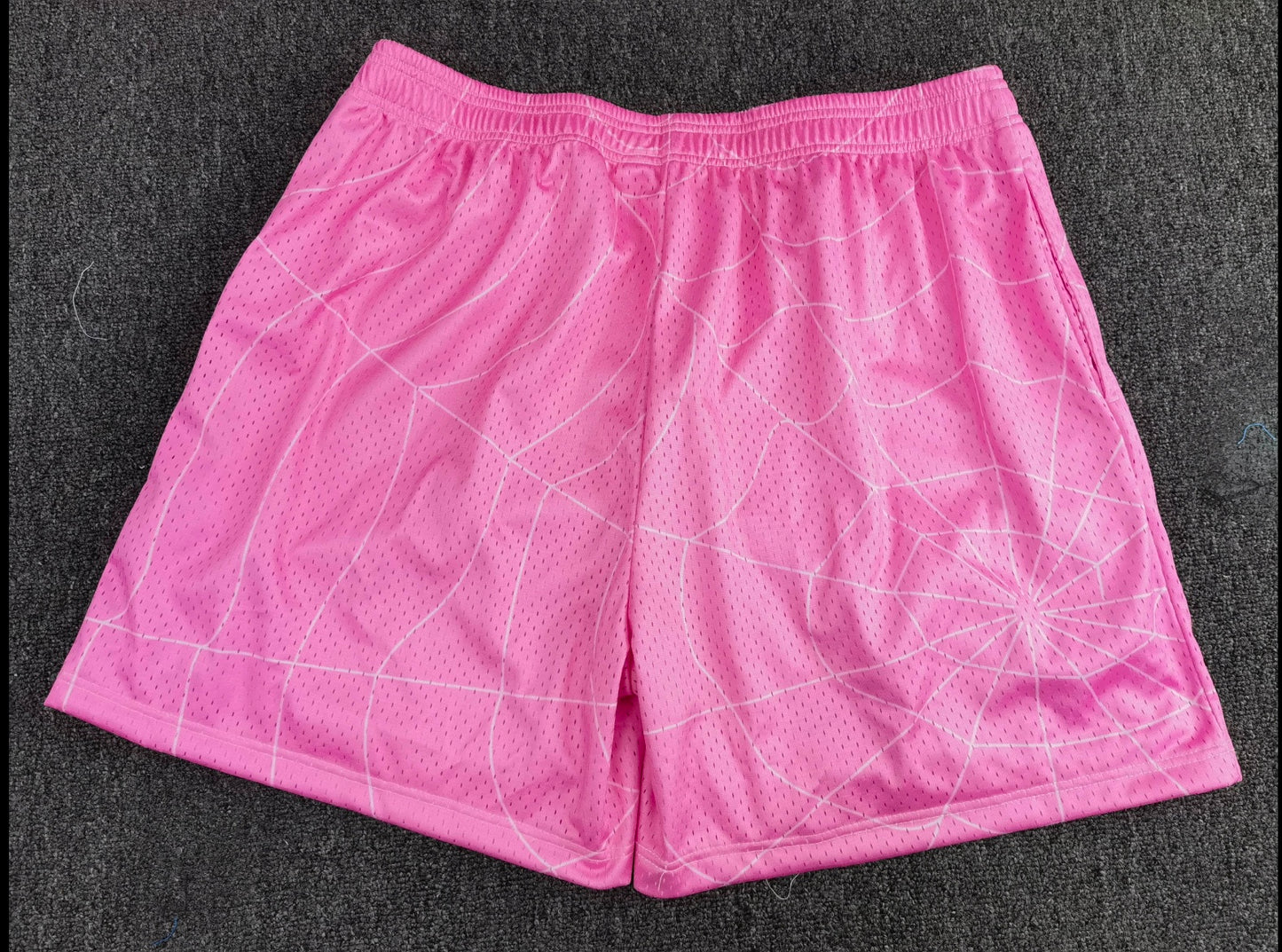 P/B Webbed “Club” Shorts