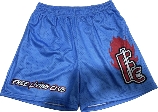 FLAME "Club" Shorts GR